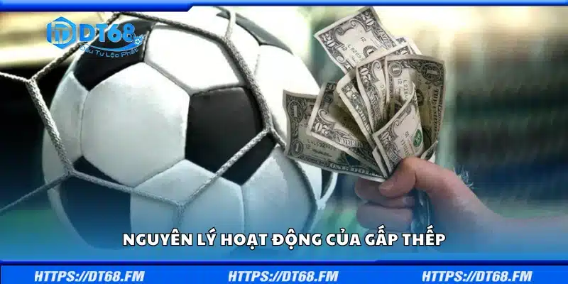 Các nguyên lý hoạt động của gấp thếp