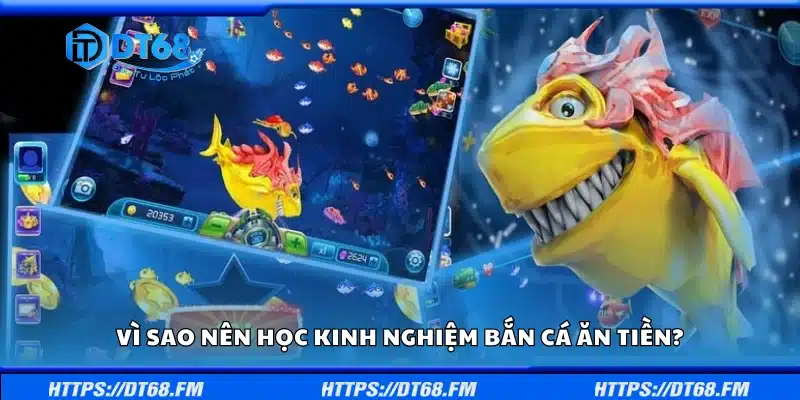 Lý do bạn cần biết mẹo bắn cá trước khi tham gia săn thưởng